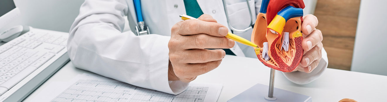 Cardiology - Balaji Healthcare